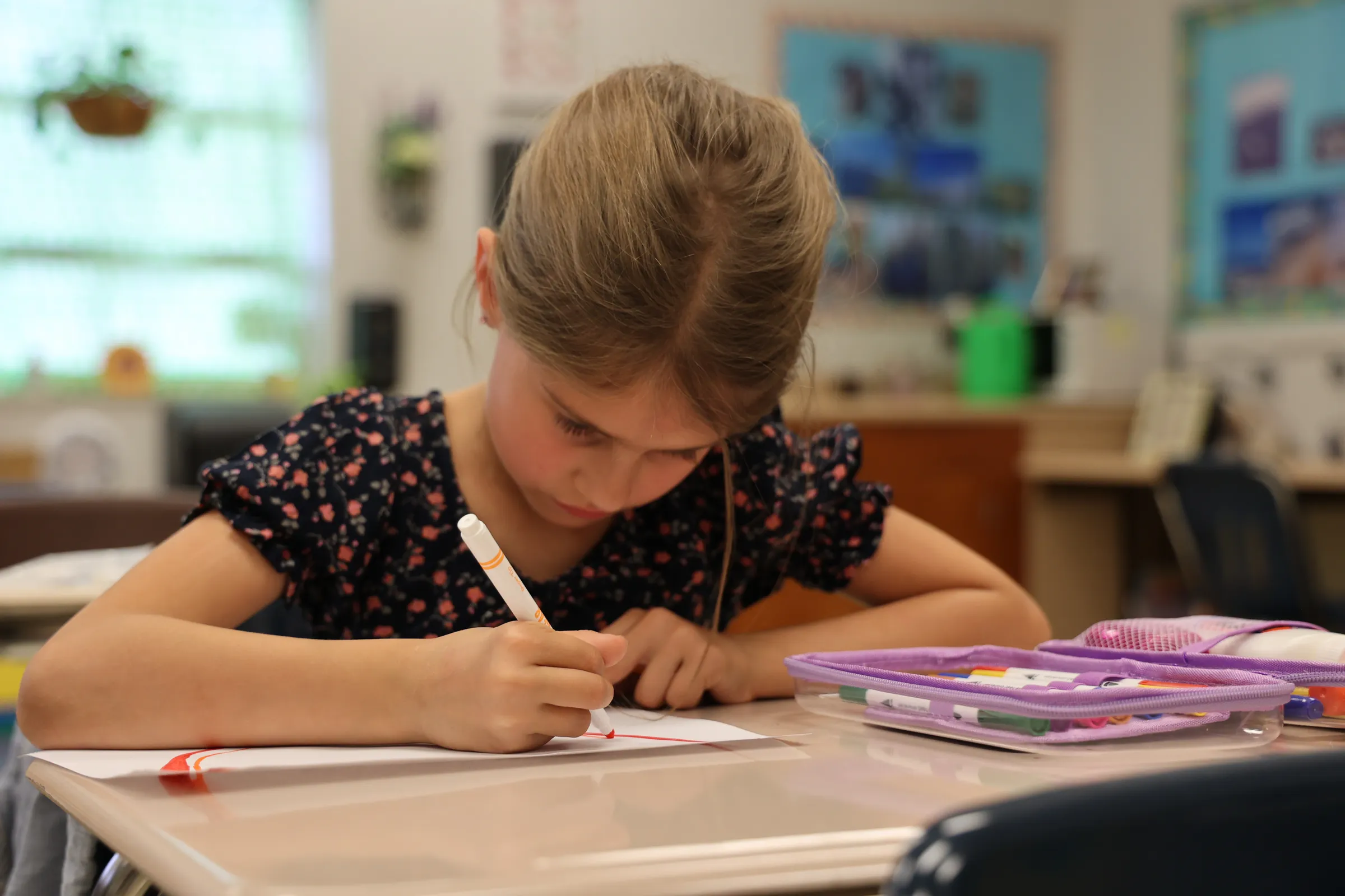 homeschool-elementary-3