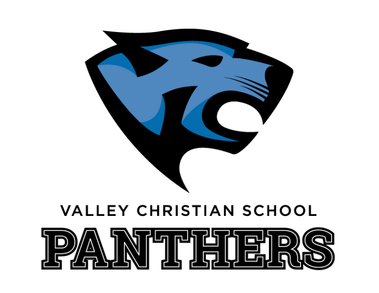 VCS_Panther_1_2color-768×593